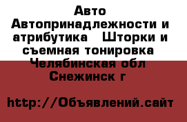 Авто Автопринадлежности и атрибутика - Шторки и съемная тонировка. Челябинская обл.,Снежинск г.